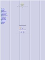 Tài liệu Manufacturing Infrastructure pptx