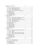 Tài liệu Module E – Thư viện chuẩn pptx