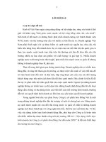 Xây dựng chiến lược kinh doanh cho công ty cổ phần sơn đồng nai đến năm 2020 