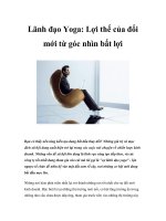 Tài liệu Lãnh đạo Yoga: Lợi thế của đổi mới từ góc nhìn bất lợi docx