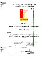 MẠNG THÔNG MINH IN và hệ THỐNG TRẢ TRƯỚC sử DỤNG CÔNG NGHỆ MẠNG THÔNG MINH 