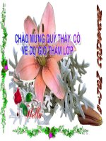 Bài soạn Bài 36 chất rắn kết tinh chất rắn. vô định hình