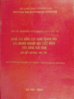 Nâng cao năng lực cạnh tranh của các doanh nghiệp sản xuất hàng tiêu dùng việt nam 