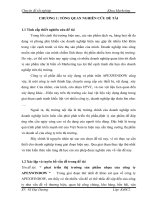 226 phat triển thị trường sản phẩm nhựa của công ty APEXWINDOW 