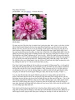 Tài liệu Mùa xuân chơi hoa docx