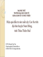 Slide hiệu quả đầu tư sản xuất cây cao su trên địa bàn huyện nam đông,tỉnh thừa thiên huế 