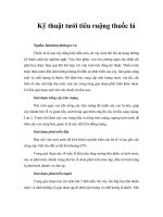 Tài liệu Kỹ thuật tưới tiêu ruộng thuốc lá docx