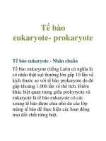 Tài liệu Tế bào eukaryote- prokaryote pptx