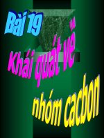 Tài liệu Khái quát nhóm cacbon pptx