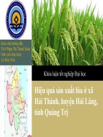 Slide hiệu quả sản xuất lúa ở xã hải thành, huyện hải lăng, tỉnh quảng trị 