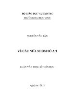 Về các nửa nhóm số arf 