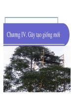 Tài liệu Giống Cây Rừng - Chương 4 ppt
