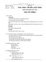 Gián án Bai 44. TH Tim hieu chuc nang (lien quan den cau tao) cua tuy song