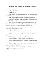 Tài liệu Kỹ thuật trồng và chăm sóc thanh long vụ nghịch pptx