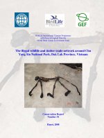 Tài liệu The illegal wildlife and timber trade network around Chu Yang Sin Nation Park, Dak Lak Province, Vietnam doc