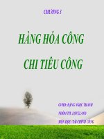 hàng hóa công chi tiêu công