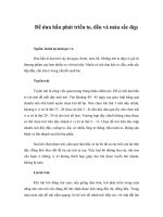 Tài liệu Để dưa hấu phát triển to, đều và màu sắc đẹp ppt