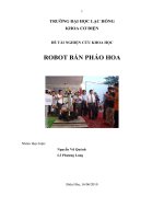 Đề tài robot bắn pháo hoa 