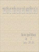 Tài liệu MRVT Truyền thống