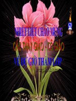 Bài giảng Hoán dụ -TV 6