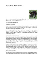 Tài liệu Trung thành - chất keo kết dính pdf