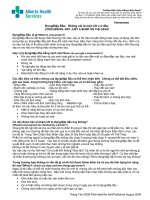 Tài liệu Đụng/Đập Đầu: Không chỉ là một vết u ở đầu pdf