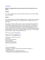 Tài liệu Mapping Table and Column Names Between the Data Source and DataSet docx