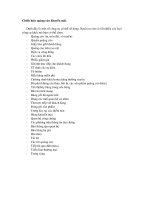 Tài liệu Chiến lược quảng cáo khuyến mãi pptx