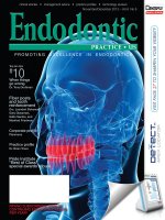 Tạp chí nội nha tháng 11 & 12 /2013 Vol6 No 6