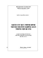 Khảo sát quá trình hình thành soliton không gian trong sợi quang 