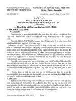 Gián án Báo cáo 09-10