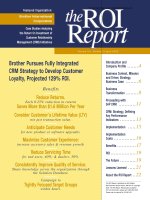 Tài liệu The ROI Report pdf