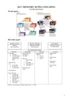 Tài liệu QUY TRÌNH ĐIỀU DƯỠNG CỘNG ĐỒNG ppt