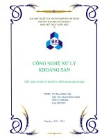 BÁO CÁO CÔNG NGHỆ XỬ LÝ KHOÁNG SẢN