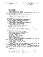 Tài liệu hướng dẫn chấm đề hóa GV giỏi