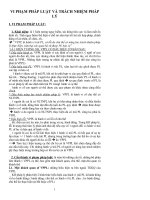 Tài liệu VI PHẠM PHÁP LUẬT VÀ TRÁCH NHIỆM PHÁP LÝ pptx
