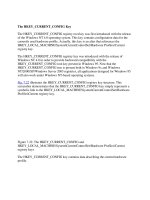 Tài liệu The HKEY_CURRENT_CONFIG Key pptx