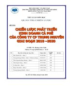 Chiếm lược phát triển kinh doanh cà phê công ty cổ phần trung nguyên giai đoạn 2010  - 2020 
