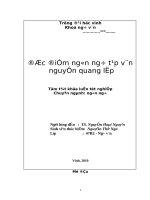 Đặc điểm ngôn ngữ tạp văn nguyễn quang lập 