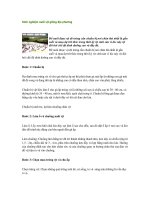 Tài liệu Kinh nghiệm nuôi vịt giống địa phương pptx