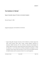 Tài liệu Tax Incidence in Vietnam ppt