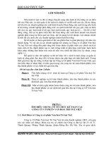 Báo cáo tốt nghiệp - Chuyên đề cuối khóa