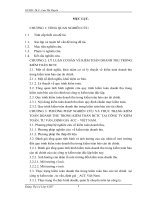 03 hoàn thiện quy trình kiểm toán khoản mục doanh thu trong kiểm toán báo cáo tài chính do công ty TNHH kiểm toán – tư vấn – định giá ACC việt nam thực hiện 