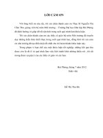 Nghiên cứu khả năng hấp thụ crom trong nước bằng cây cỏ voi 