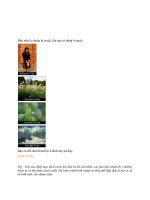 Tài liệu Hiệu ứng màu sắc cho Photoshop part 2 ppt