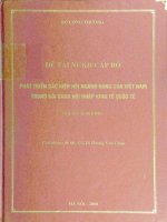 Phát triển các hiệp hội ngành hàng của việt nam trong bối cảnh hội nhập kinh tế quốc tế 