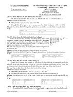 ĐỀ THI HỌC SINH GIỎI LỚP 12 TỈNH NINH BÌNH 2012-2013 LẦN 2 môn tinh học