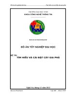 Tìm hiểu và cài đặt cây gia phả 