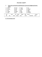 Gián án EXERCISE for UNIT 9 ( E 6)