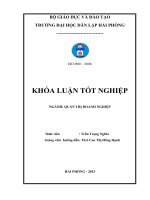 Biện pháp nâng cao hiệu quả hoạt động kinh doanh tại công ty cổ phần thương mại và cơ khí tân thanh – chi nhánh hải phòng 